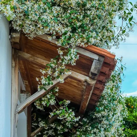 Cozy House In Pelion Apartment Kato Lekhonia Exterior photo